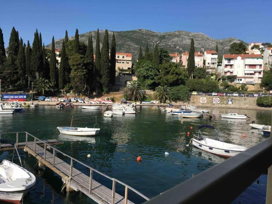 Lovely Split Level Apartment With Sea View, Pool, Free Parking And Wifi Cavtat Eksteriør billede